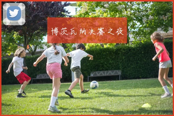 博茨瓦纳决赛之夜