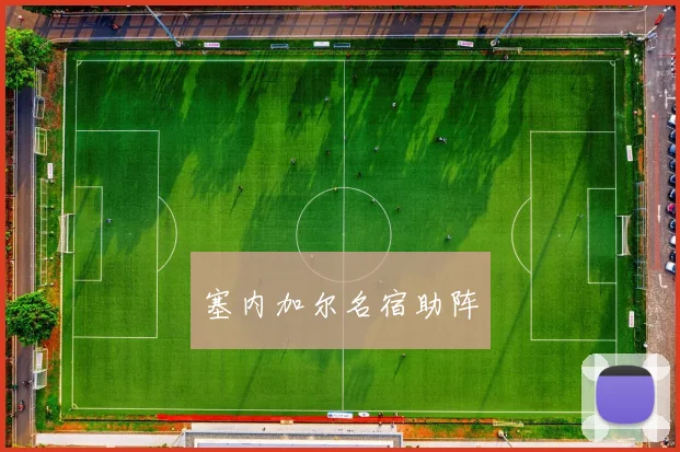 塞内加尔名宿助阵