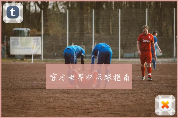 官方世界杯买球指南