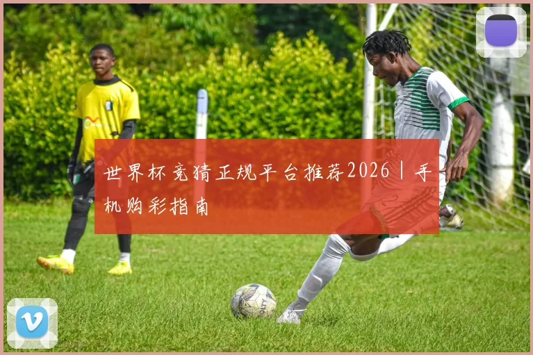 世界杯竞猜正规平台推荐2026｜手机购彩指南