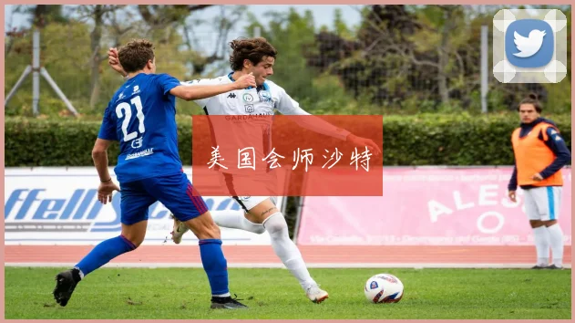 美国会师沙特