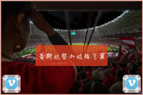 哥斯达黎加边路飞翼