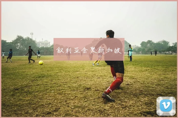 叙利亚会聚新加坡