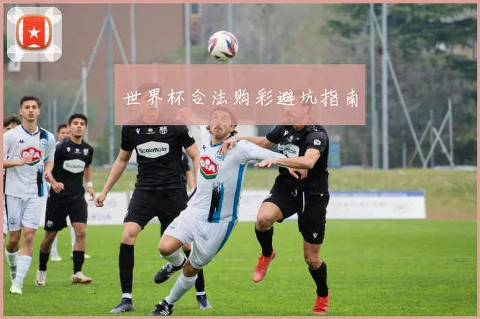 世界杯合法购彩避坑指南